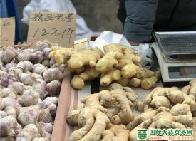 蘭州：綠葉菜、大姜等蔬菜價(jià)格大漲 ()