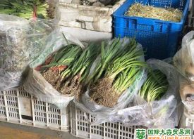 北京昌平：3月菜價進入下行區(qū)間 ()