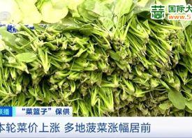 天氣漸冷 菜價(jià)高位運(yùn)行 ()