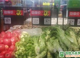 昆明:葉類蔬菜價(jià)格上漲 ()