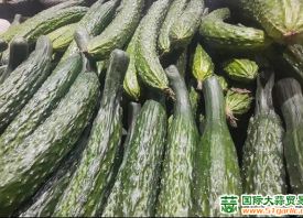 蒜薹：庫(kù)存、鮮貨銷(xiāo)售行情冰火兩重天 ()