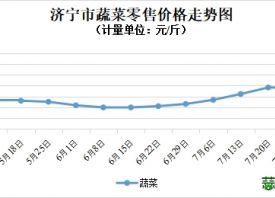 濟(jì)寧市：蔬菜價(jià)格以降為主！ ()