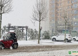 河南3月飄雪 蒜苗還好嗎？ ()