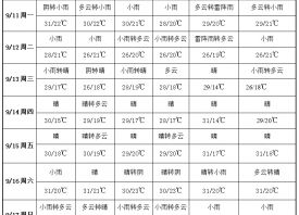 冷空氣來襲 產地涼意漸顯 ()