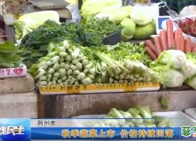 荊州：秋菜上市 價(jià)格下跌 ()